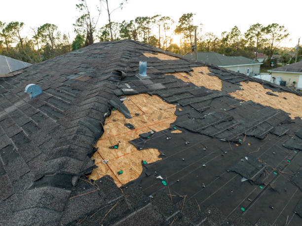 Best Asphalt Shingle Roofing  in Weedsport, NY